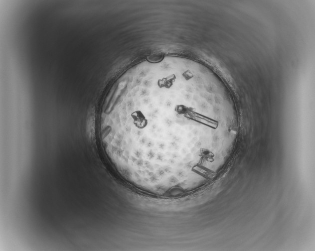 X0000101390010200807211022