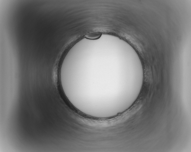 X0000101390015200807211022