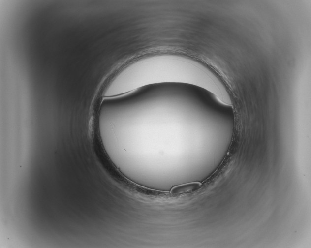 X0000101390016200807211022