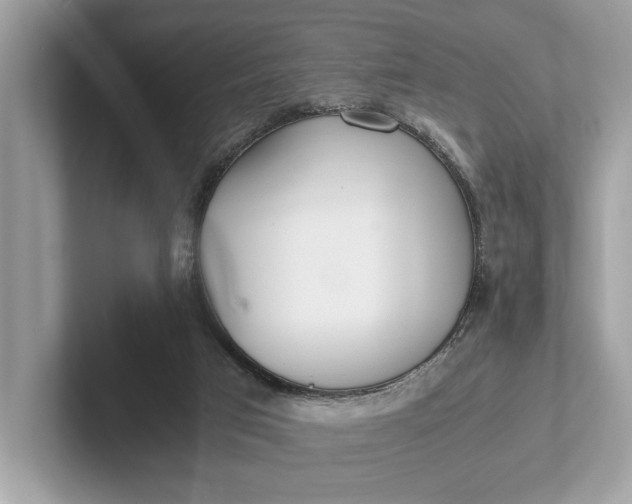 X0000101390017200807211022