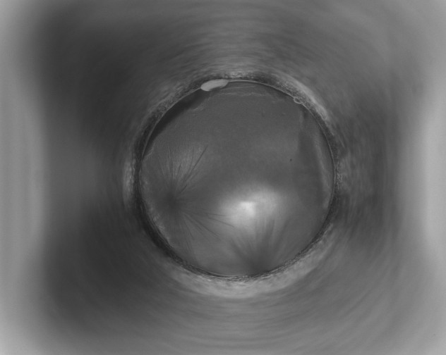 X0000101390018200807211022