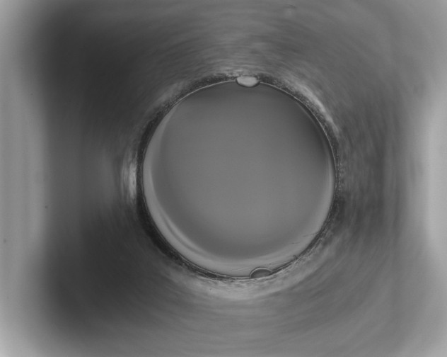 X0000101390019200807211022