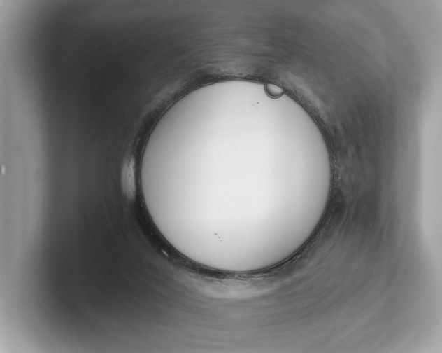 X0000101390020200807211022