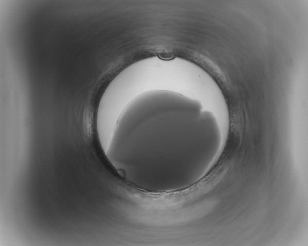 X0000101390023200807211022