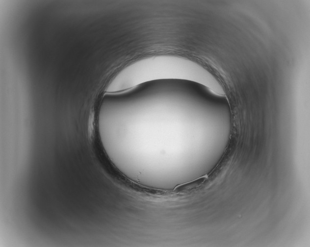 X0000101390024200807211022