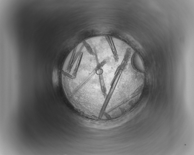 X0000101390026200807211022