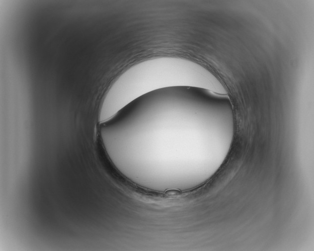 X0000101390028200807211022