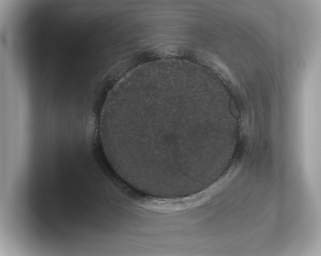 X0000101390029200807211022