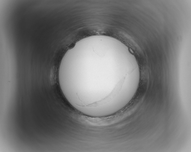 X0000101390030200807211022