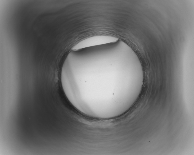 X0000101390032200807211022