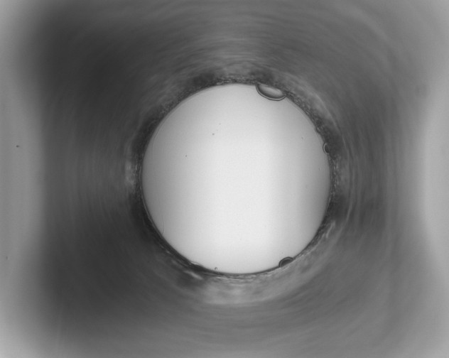 X0000101390033200807211022