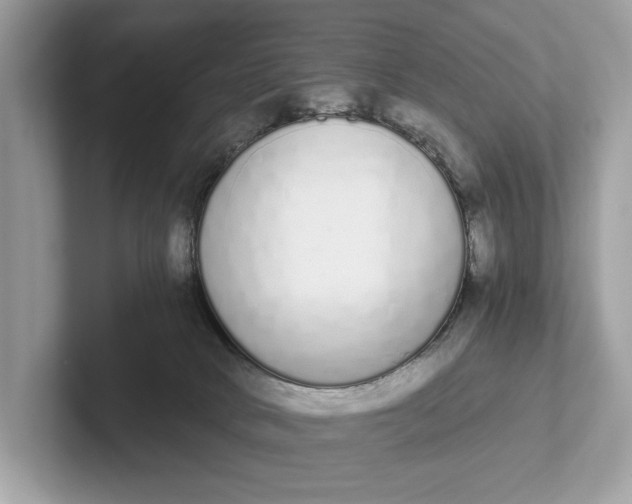 X0000101390034200807211022