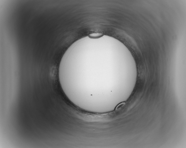 X0000101390036200807211022