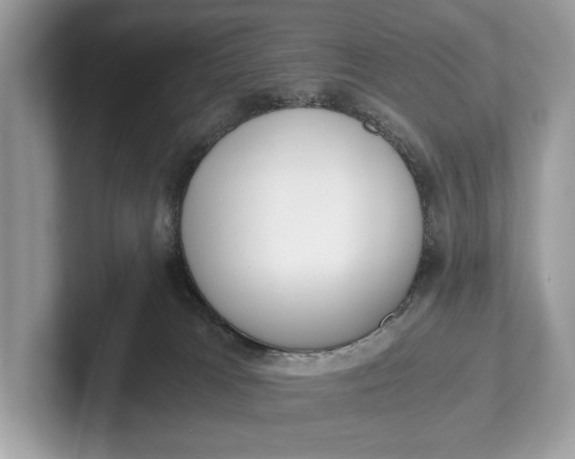 X0000101390037200807211022