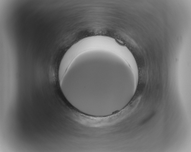 X0000101390039200807211022