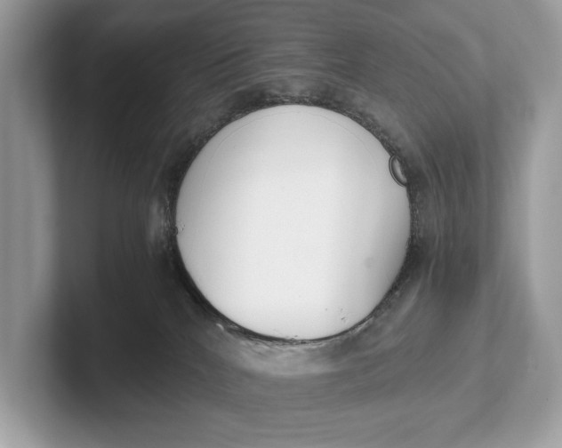 X0000101390040200807211022