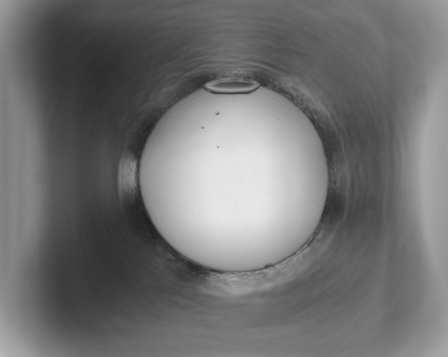 X0000101390041200807211022