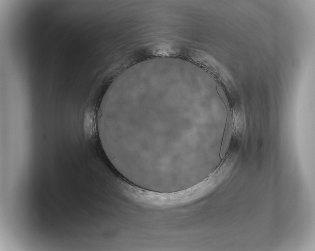 X0000101390043200807211022