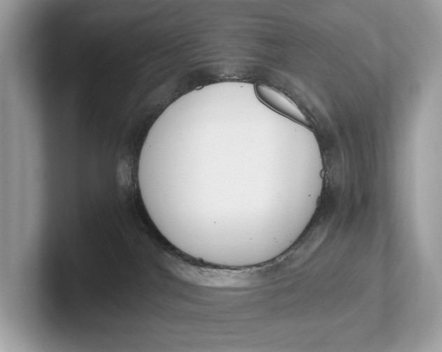 X0000101390044200807211022