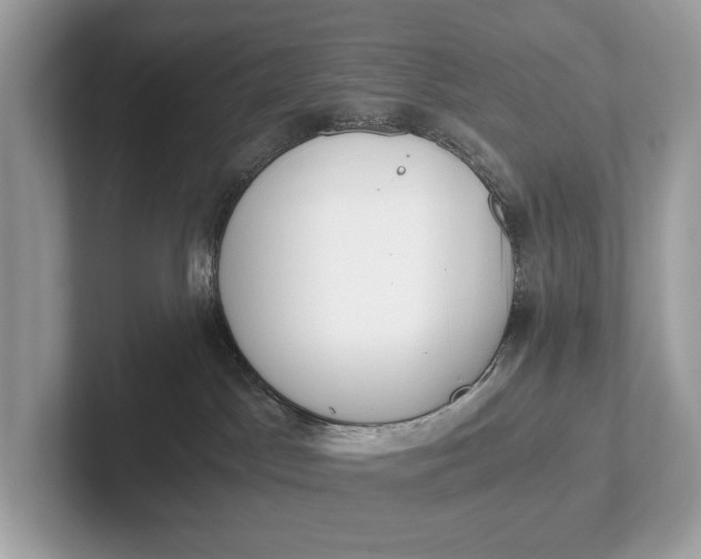 X0000101390045200807211022