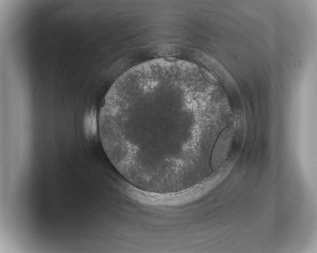 X0000101390046200807211022