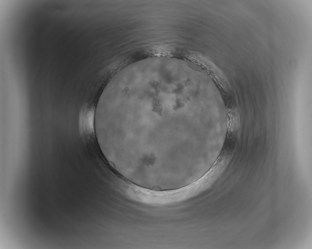 X0000101390047200807211022