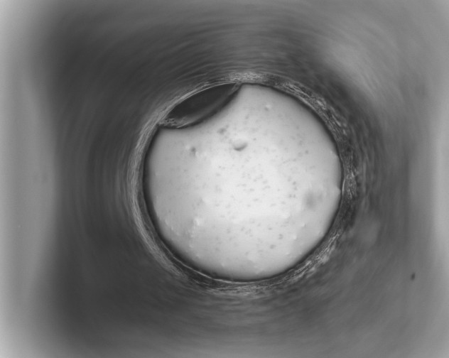 X0000101390049200807211021