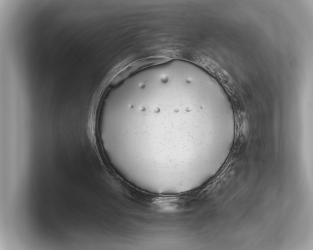 X0000101390051200807211021