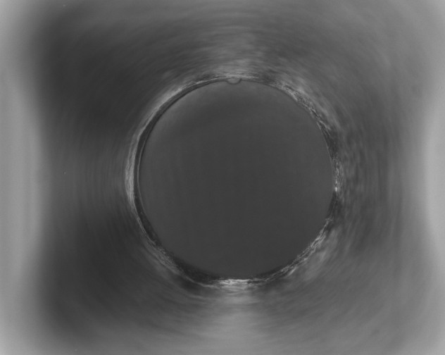 X0000101390052200807211021