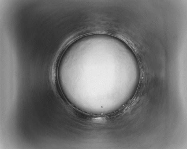 X0000101390053200807211021