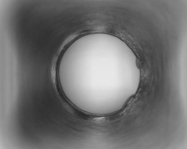 X0000101390054200807211021