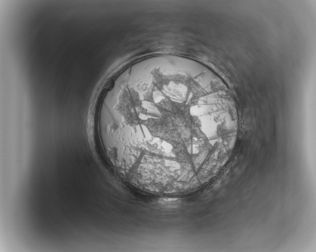 X0000101390055200807211021