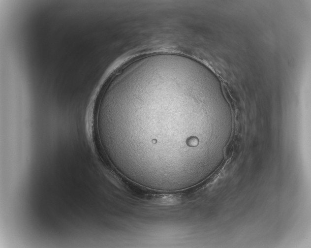 X0000101390056200807211021