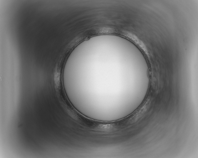 X0000101390057200807211021