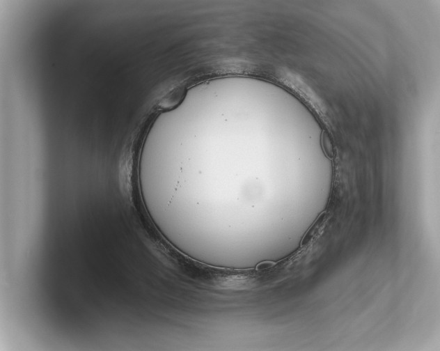 X0000101390058200807211021