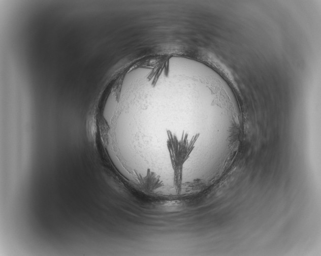 X0000101390059200807211021