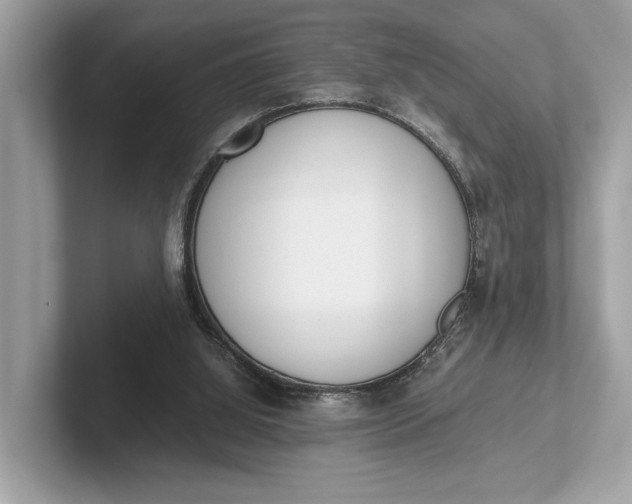 X0000101390060200807211021