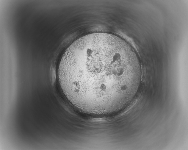 X0000101390061200807211021