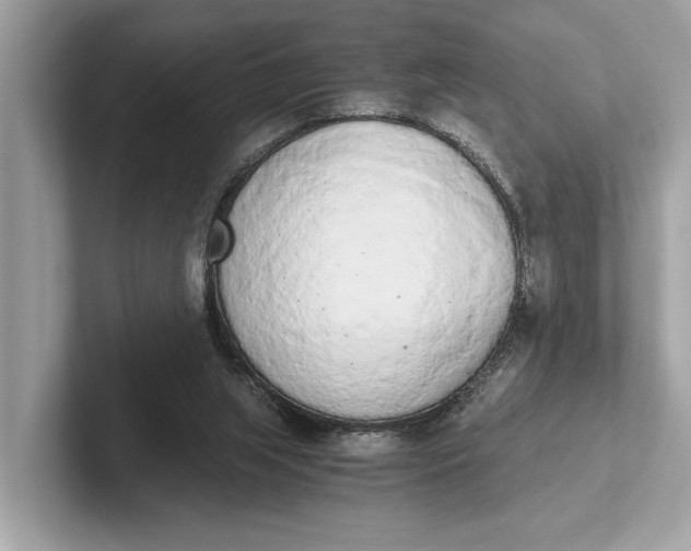 X0000101390063200807211021