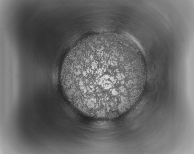 X0000101390065200807211021