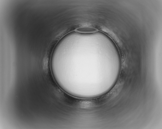 X0000101390066200807211021