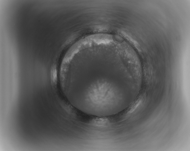 X0000101390067200807211021