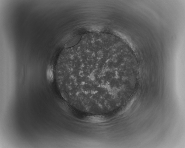 X0000101390069200807211021