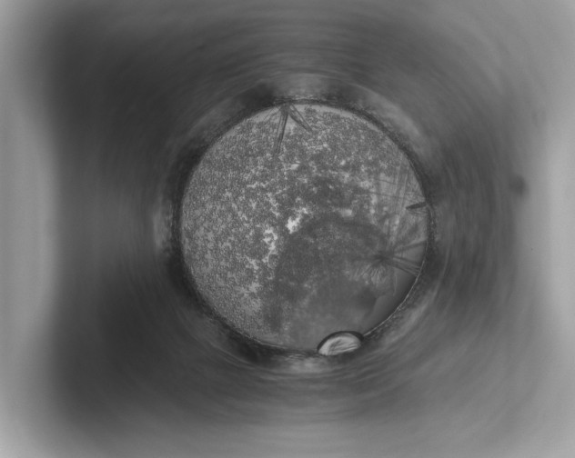 X0000101390073200807211021