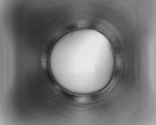 X0000101390074200807211021