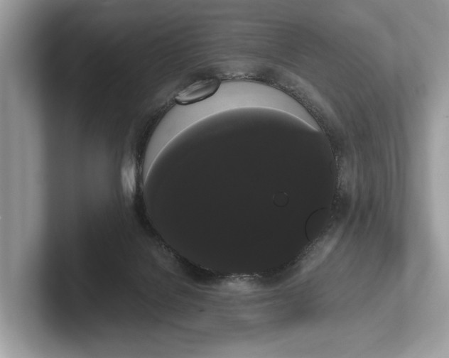 X0000101390076200807211021