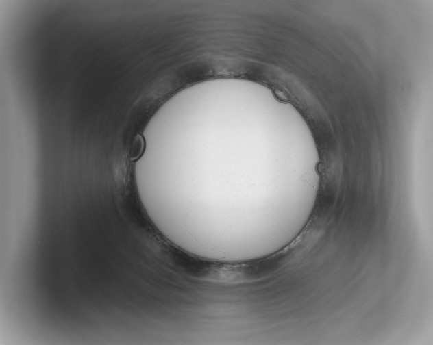 X0000101390078200807211021