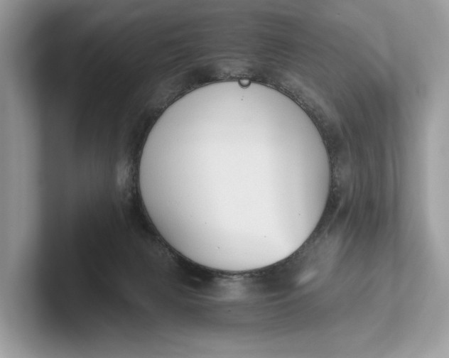 X0000101390079200807211021