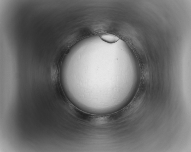 X0000101390081200807211021