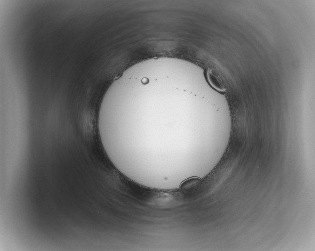 X0000101390083200807211021